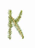 Spruce twigs forming the letter 'K'