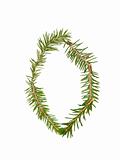 Spruce twigs forming the letter 'O'