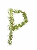 Spruce twigs forming the letter 'P'