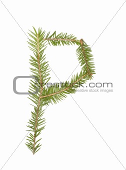 Spruce twigs forming the letter 'P'
