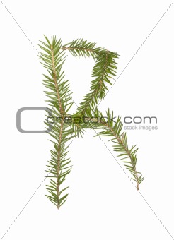 Spruce twigs forming the letter 'R'