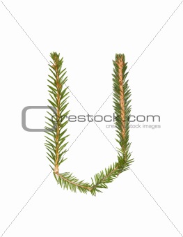 Spruce twigs forming the letter 'U'