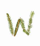 Spruce twigs forming the letter 'W'