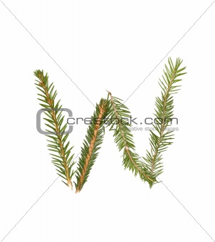 Spruce twigs forming the letter 'W'