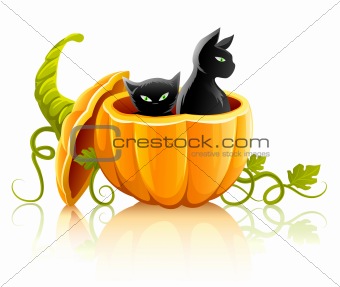 halloween pumpkin vegetable with black cats