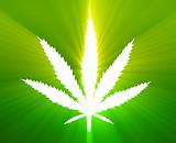 Marijuana leaf illustration