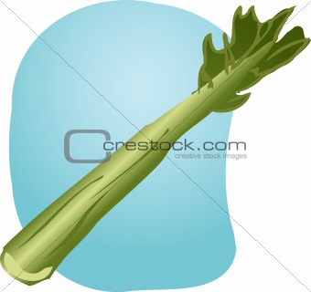 Celery illustration