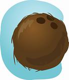 Coconut illustration