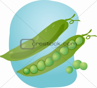 Peas illustration