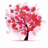 Maple tree, autumn leaf fall