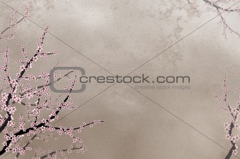 Nice decorative cherry tree on rough background with place for text or image