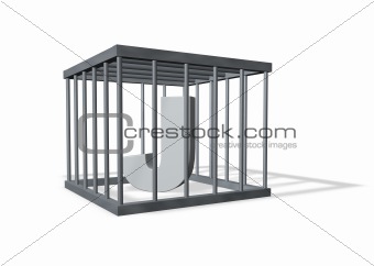 big J in a cage
