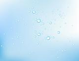 Vector Water Bubbles