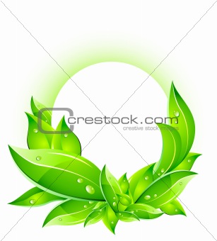 Vector Eco Concept with Leafs surrounding Your Text