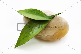 Two green leafs on yellow stone