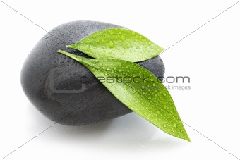 Two green leafs on black stone
