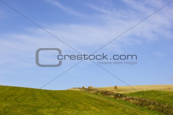 rural landscape with bales