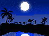 silhouette view of camels and human in moonlight