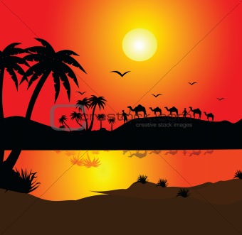 silhouette view of a man with camel