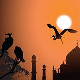 view of Taj Mahal, agra, India, birds, sun