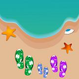 travel, view of beach, starfish, shells, slippers