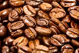 Dark Roasted Coffee Beans