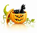 halloween pumpkin vegetable with black cats