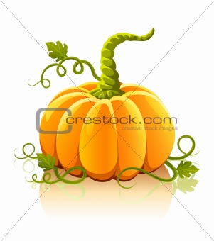 orange pumpkin vegetable with green leaves