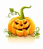 frightful halloween pumpkin vegetable isolated