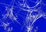 White Fractal Spider Web on a Blue Background