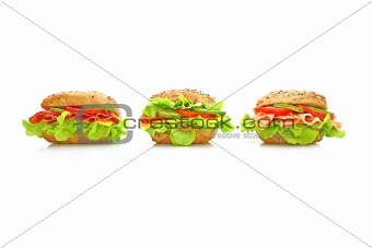 Fresh sandwich with vegetables