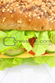 Fresh sandwich with cheese and vegetables