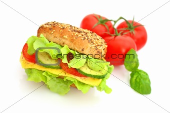 Fresh sandwich with cheese and vegetables