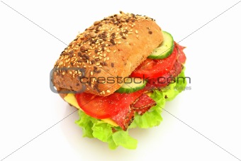 Fresh sandwich with salami cheese and vegetables