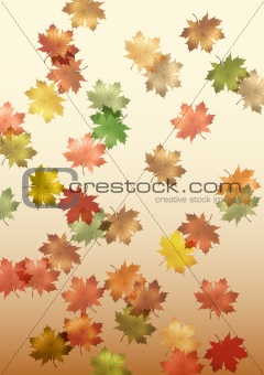falling maple leaves made in illustrator cs4