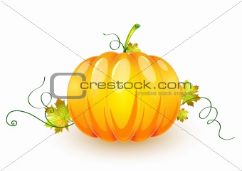 pumpkin made in illustrator cs4