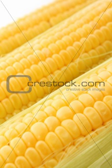 Three corns isolated on white