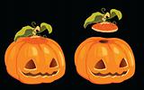  isolated vector halloween pumpkin