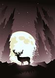 Stag by Moonlight