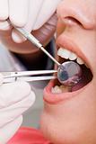 dental inspection