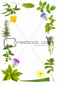 Flower and Herb Leaf Frame