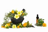 Wild Flower and Herb Therapy