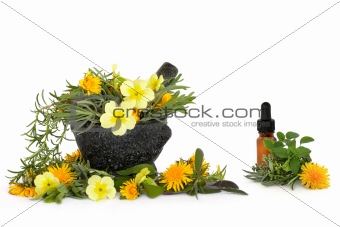 Wild Flower and Herb Therapy