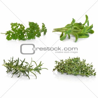 Parsley Sage Rosemary and Thyme Herbs