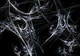 White Fractal Spider Web on a Black  Background