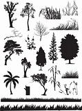 silhouette view of trees, plants, grass, wildlife