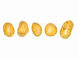 Potatoes on a row