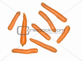 Multiple carrots