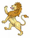 Rampant lion vector