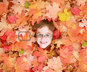 Little Boy in Leaves